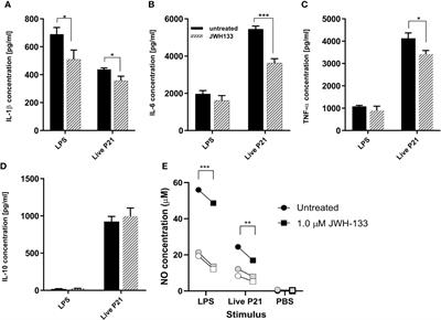 Adjuvant Cannabinoid Receptor Type 2 Agonist Modulates the Polarization of Microglia Towards a Non-Inflammatory Phenotype in Experimental Pneumococcal Meningitis